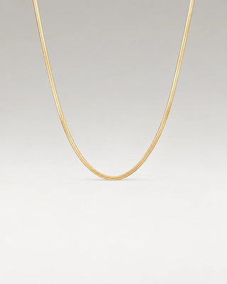 Flat Snake Halskedja 18K Guldpläterat 2mm
