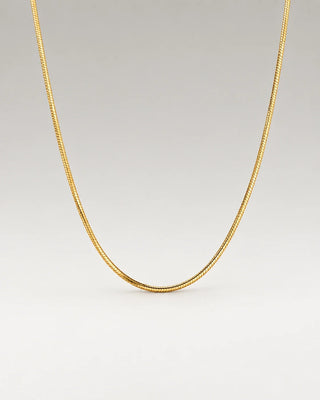 Round Snake Choker 18K Guldpläterat 2mm